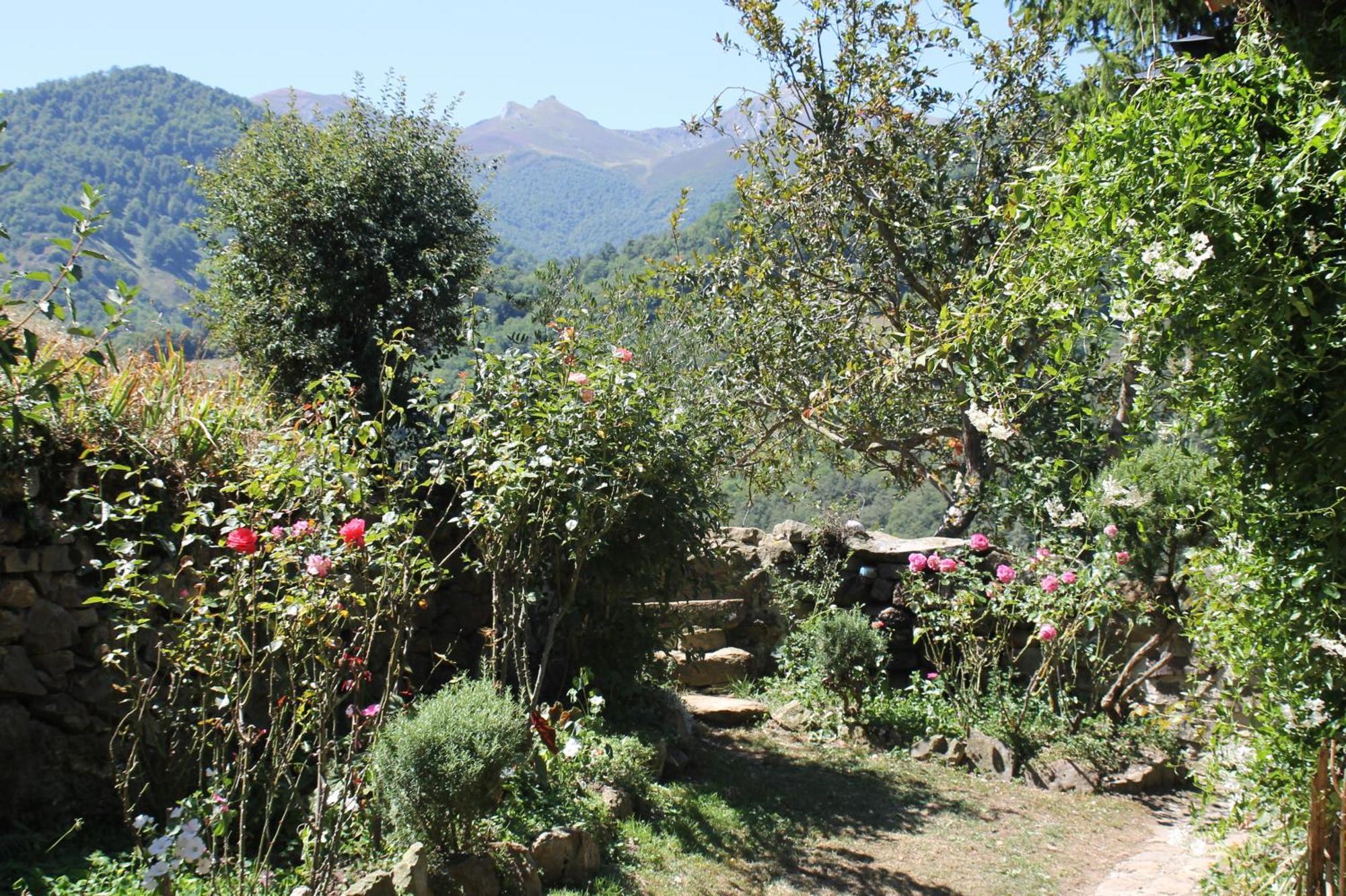 Casona De Trevino Pension Cosgaya Buitenkant foto